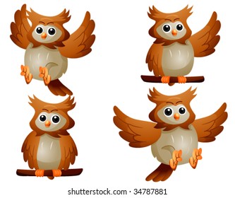 Owl - Vector