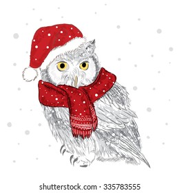 Owl vector . Bird clothing. Vector illustration for greeting card, poster, or print on clothes.