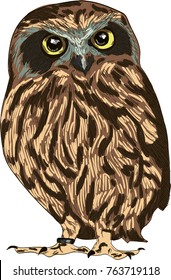 Owl vector drawing illustration