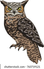 Owl vector drawing illustration