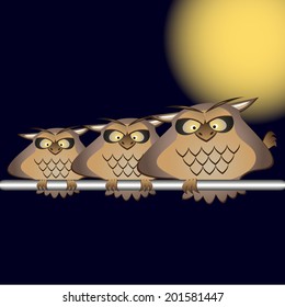 Owl, vector, eps 10