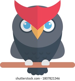 owl vector flat color icon 