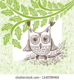 Owl. Vector illustration
