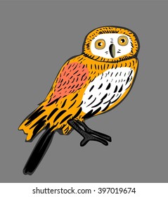 Owl vector illustration