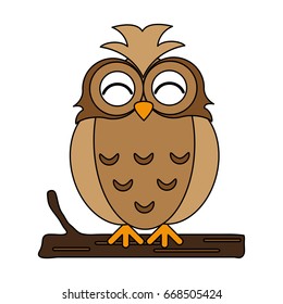 owl vector illustration