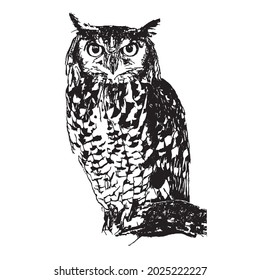 owl vector illustration Design black color