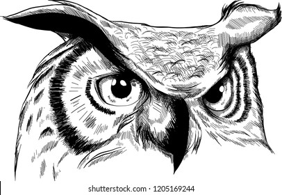Owl - vector illustration. Icon design on white background.