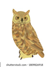 Owl vector illustration isolated on white background. Night bird hunter.