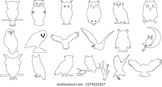 Owl vector illustration set, perfect for children’s books, educational materials. line drawings of owls in different poses - flying, perching, sleeping, standing, walking, hunting, hooting