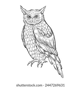 Owl vector illustration. Sitting night Bird painted by black inks in outline style. Drawing of forest Animal with for icon or logo. Drawing of the symbol of wisdom in fairy tales. Sketch of owlet.