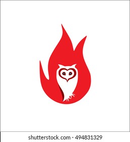 Owl Vector Illustration Template