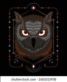 Owl vector. Illustration of owl for t-shirt design printing