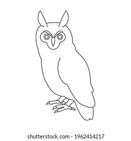 Owl vector outline icon. Vector illustration bird on white background. Isolated outline illustration icon of owl .