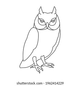 Owl vector outline icon. Vector illustration bird on white background. Isolated outline illustration icon of owl .