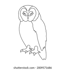 Owl vector outline icon. Vector illustration bird on white background. Isolated outline illustration icon of owl .