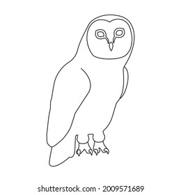 Schale Vektorsymbol. Vektorgrafik-Vogel auf weißem Hintergrund. Einziger Umriss-Icon der Eule .