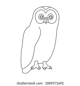 Owl vector outline icon. Vector illustration bird on white background. Isolated outline illustration icon of owl .