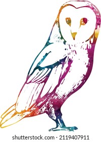 owl vector or painting with watercolors