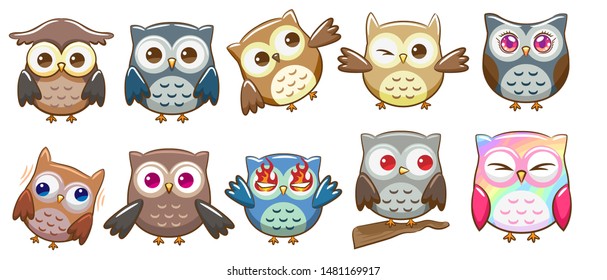 Owl vector set graphic clipart design