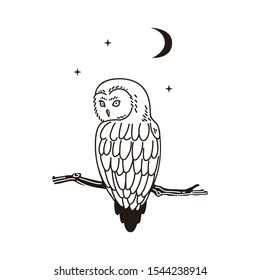 owl vector with stars and moon night symbol