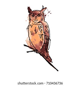 Owl vector watercolor 6 colours separated