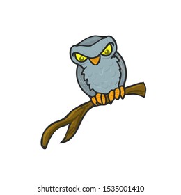 An owl watching on a tree