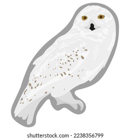 Owl in white backgraund. Vector illustration