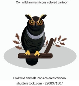 Owl wild animals icons colored cartoon sketch