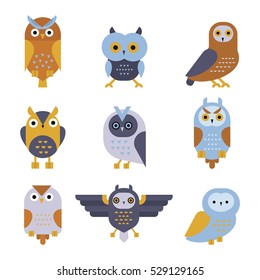 Owl wild bird cartoon vector.