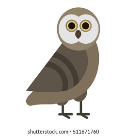 Owl wild bird and nature cartoon owl