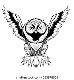 Owl wings gracefully.