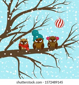 Owl in the Winter Day. Cute Christmas Owls sitting on the branch wearing hat and scarf.