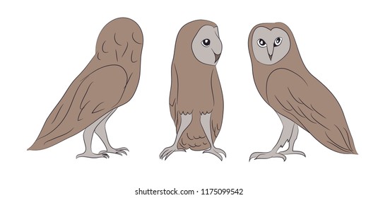owl is worth drawing, vector, white background