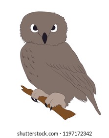 owl is worth drawing, vector, white background