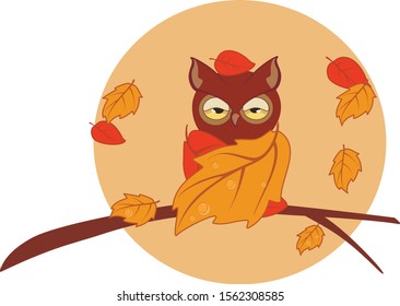 Owl wrapped in autumn leaves and resting on a branch
