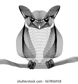 Owl x-ray stylize  illustration on an isolated background