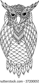 OWL Zentangle Handdrawn Vector Illustration