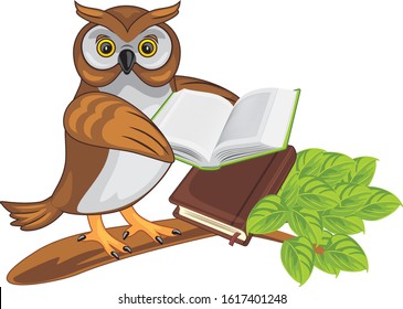 Owlet with a book on a tree. Vector