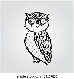 owlet. vector.