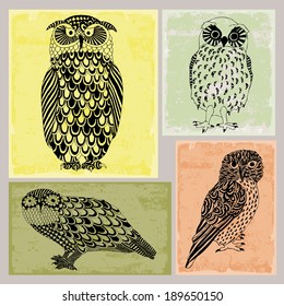 Owls 
