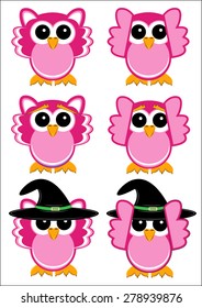 owls