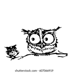 owls