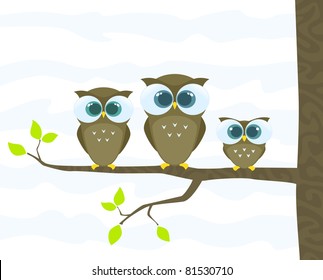 Owls