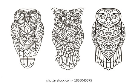 Owls birds Adult coloring book page . Beautiful art for anti stress colouring . Vector illustration for art therapy, tattoo, for design element,
poster.