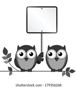 Owls with blank sign copy space for own text isolated on white background