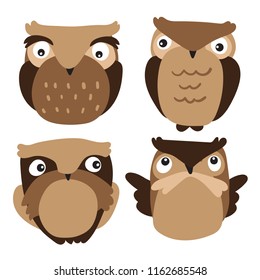 owls character vector design