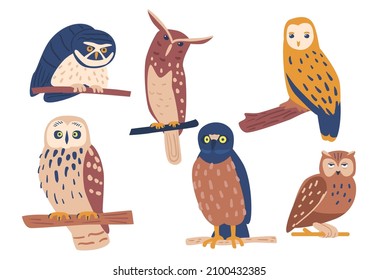 Owls Collection, Cute Scandinavian Style Zoo Park Mascots Isolated on White Background. Funny Birds Sitting on Tree Branches. Wild Animals, Flying Creatures. Cartoon Vector Illustration