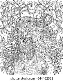 Owls coloring page