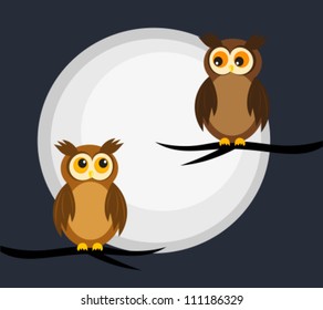 Owls couple in the night. Moon light