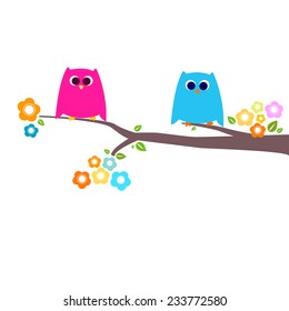 owls couple on a branch